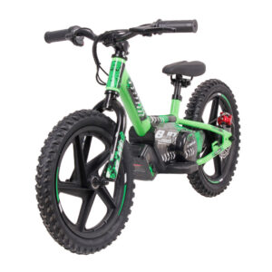 BJR-BICI-16-PLUS-WONG-imagen2